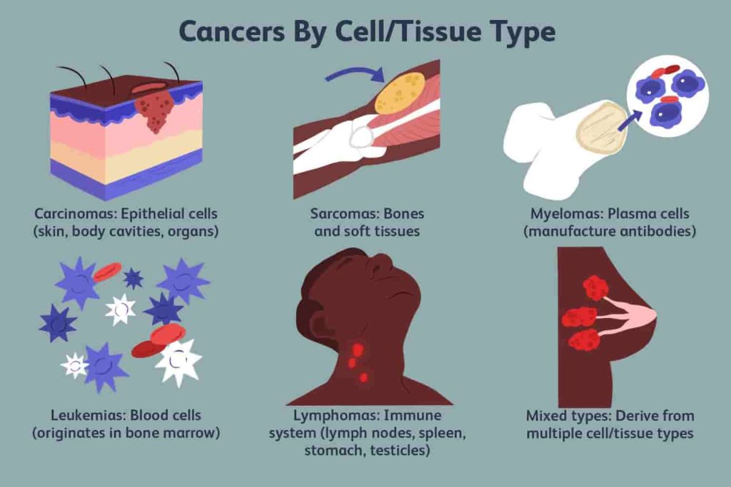 انواع سرطان