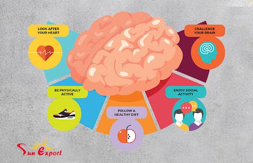 روش های درمانی آلزایمر